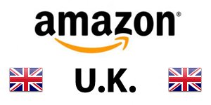 亞馬遜一年一度數(shù)據(jù)報告（亞馬遜英國站）